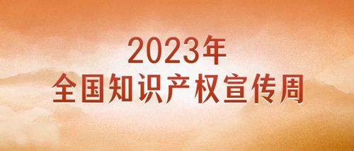 山东省2022年度知识产权行政保护典型案例